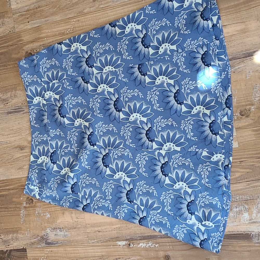 Ann Taylor Loft skirt